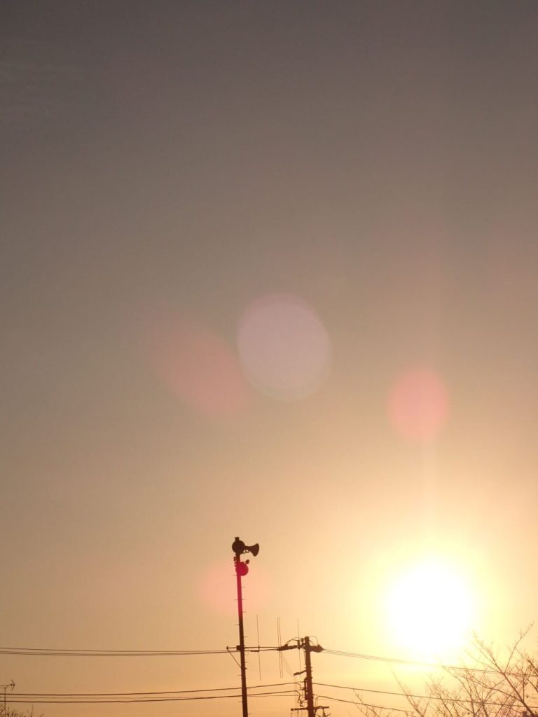 朝日を見ながら散歩してきた