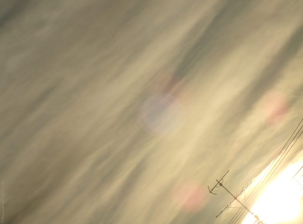 朝日を浴びながら