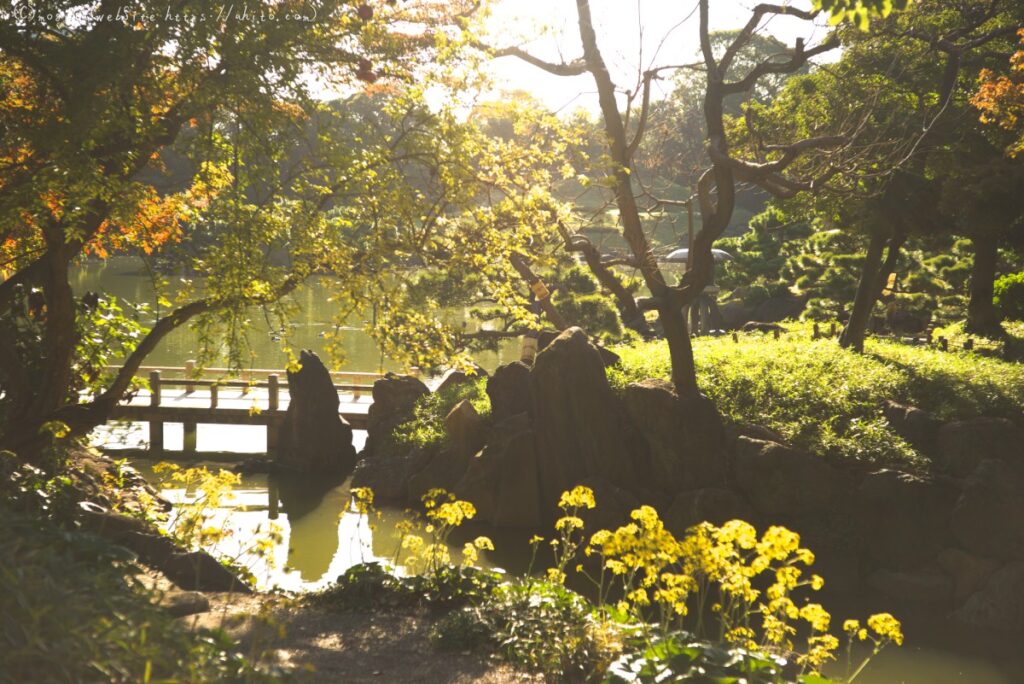 清澄庭園に行ってきた