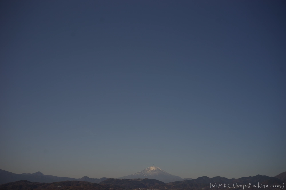 秦野・弘法山へハイキング